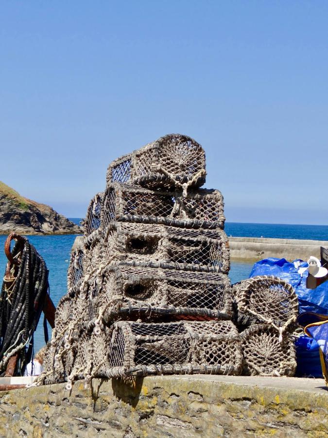The Slipway B&B Port Isaac Eksteriør billede