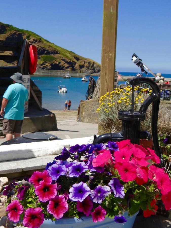 The Slipway B&B Port Isaac Eksteriør billede